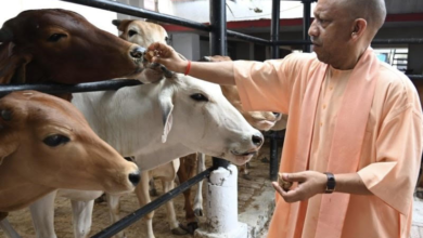 Photo of मुख्यमंत्री योगी “कुछ लोग गाय का दूध पिएंगे और सड़क पर छोड़ देंगे, जब वह फसल का नुकसान करेगी तो दोष मुझे देंगे “