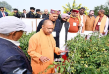 Photo of  CM योगी के नेतृत्व में UP सरकार किसानों की आय बढ़ाने के लिए लगातार प्रभावी कदम उठा रही है