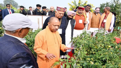 Photo of  CM योगी के नेतृत्व में UP सरकार किसानों की आय बढ़ाने के लिए लगातार प्रभावी कदम उठा रही है