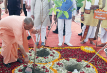 Photo of CM योगी “40 करोड़ पौधरोपण नए उत्तर प्रदेश के सामर्थ्य और जनसंकल्प का प्रतीक”