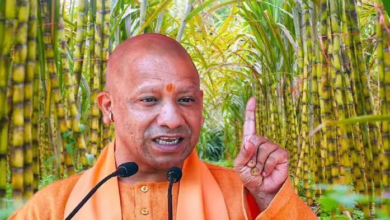 Photo of योगी सरकार के प्रयास से गन्ने की खेती में बढ़ेगी ‘मिठास’