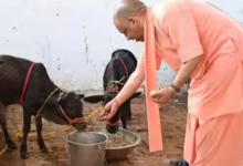 Photo of CM योगी के नेतृत्व में गोवंश संरक्षण को मिल रहा बढ़ावा