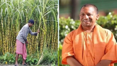 Photo of मुख्यमंत्री योगी “गन्ना किसानों को 102 चीनी मिलों ने किया शत-प्रतिशत भुगतान”