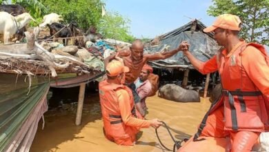 Photo of यूपी में बाढ़ से घिरे 19 जिले, 1.70 लाख से ज्यादा लोग प्रभावित; तेज हुआ राहत कार्य