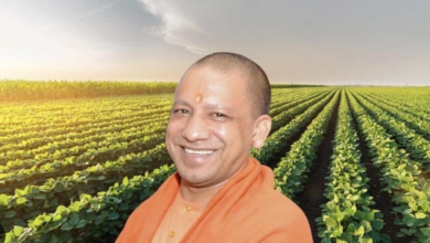 Photo of प्राकृतिक खेती से बदलेगी गांवों की अर्थव्यवस्था